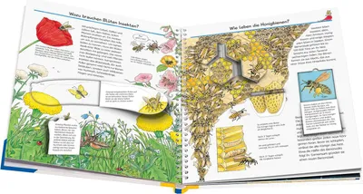 Produktbild von VERLAG: RAVENSBURGER VERLAG Wieso? Weshalb? Warum?, Band 39: Wir entdecken Insekten