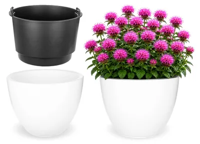 Produktbild von KADAX Übertopf mit Einsatz, ø 29,5 x H 23 cm, Blumenkübel aus Kunststoff Moderner Blumentopf in Weiß, großer Pflanzkübel für Innen- und Außenbereich, UV- und frostbeständig, KI-generiertes Bild