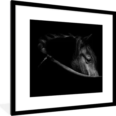 Produktbild von MuchoWow® Gerahmtes Poster Pferde - Porträt - Schwarz - Tiere 40x40 cm - Poster mit Schwarzem Bilderrahmen Wandposter Rahmen Foto Bilder - Poster - Plakat im Rahmen