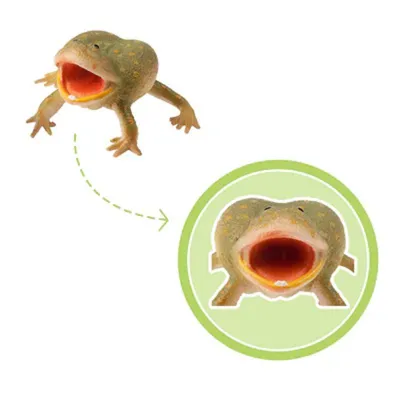Produktbild von Toymany ML00390 Budgett Frosch 6,5 cm Reptilienreich