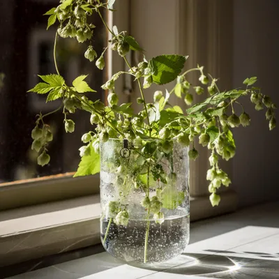 Produktbild von Vase Bubble aus Glas: small