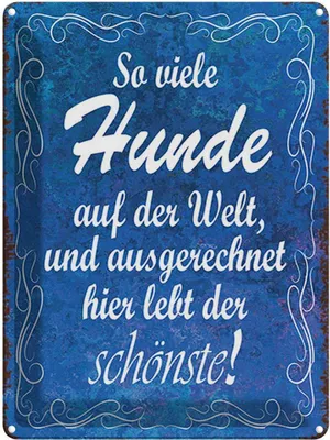 Produktbild von vianmo Blechschild 40x30 cm so vielen Hunde auf der Welt Spruch Zitat