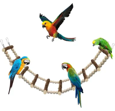 Image de Échelle pour perroquet en bois - 10 barreaux - 64 cm - Jouet pour perruches