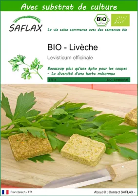Image de SAFLAX  -- Livèche - 100 graines - Avec substrat - Levisticum
