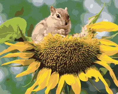 Produktbild von Zuty - Malen nach Zahlen - EICHHÖRNCHEN BEI DER SONNENBLUME, 40x50 cm, mit Keilrahmen (bereits gespannt)