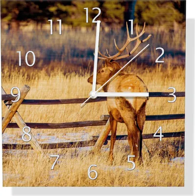 Produktbild von Wallario Design Wanduhr Elch im Schnee - im Hochland von Colorado aus Aluverbund, Größe 30 x 30 cm