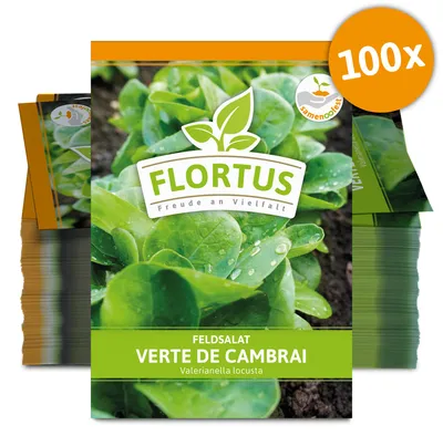 Artikelbild 1 von 'Feldsalat Verte de Cambrai (100 Stück)' aus der Kategorie Feldsalatsamen