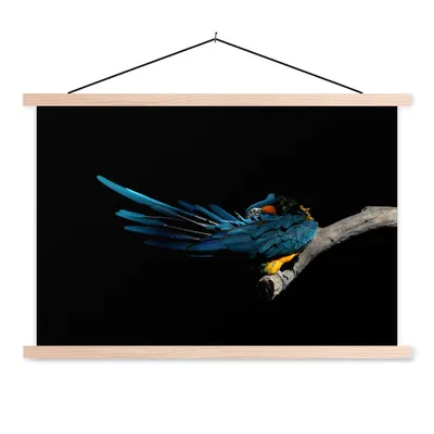 Produktbild von MuchoWow® Textilposter Vogel - Federn - Zweig - Schwarz 60x40 cm mit holzfarbenen Rahmen - Bilder