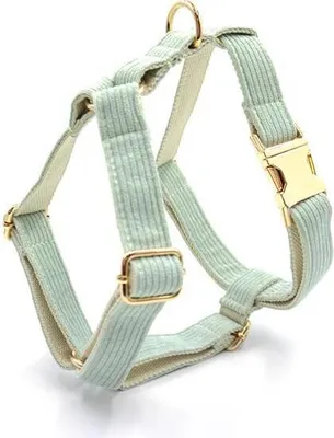 Image de Harnais pour chien White-Tea XS