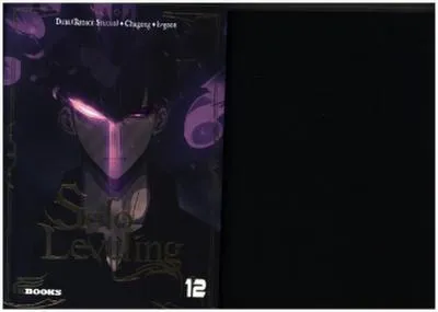 Obrázek produktu pro Sólo levelování 12