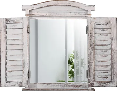 A mirror framed by shutters, with a plant visible in the reflection.