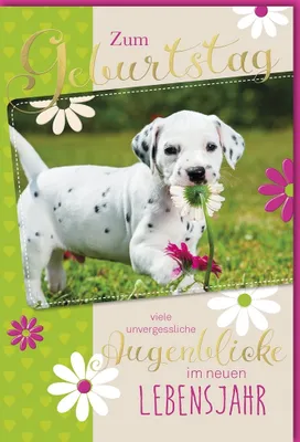 Produktbild von Geburtstag - Glückwunschkarte im Format 11,5 x 17 cm mit Umschlag