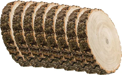 Holzscheibe Baumscheiben-Set Deko Hochzeit 8 Stück 26 x 4 cm Tisch-Deko DIY Basteln Geburtstag Advent Jahreszeiten Ostern Holzscheibe Holzstamm Dekoration