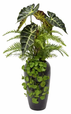 Produktbild von UNUS Kunstblume Kunstpflanze Alocasia mit Farn und hängendem Efeu in Vase 75 cm