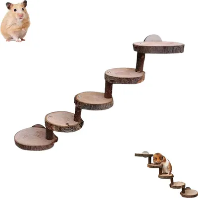 Immagine prodotto di Scale in legno per criceti e altri roditori - 5 livelli