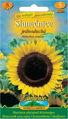 Image de Tournesol annuel simple TAIYO, jaune