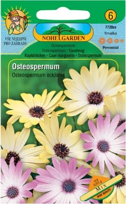Zdjęcie produktu dla Osteospermum, mieszanka