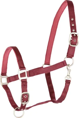 Produktbild von Waldhausen Perlonhalfter Satin Bordeaux WB
