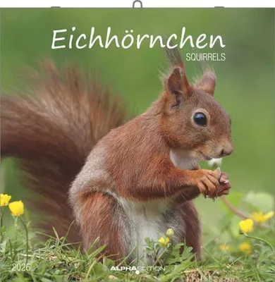 Obrázok produktu pre Eichörnchen - Brožovaný kalendár vo formáte 30 x 30 s poznámkovým kalendárom