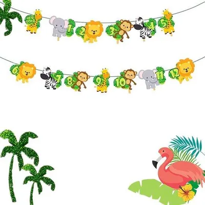 Image de Banderole photo de 2,5 mètres pour événements, avec 13 clips pour photos. Décoration idéale pour les anniversaires, les mariages et les cérémonies de remise de diplômes
