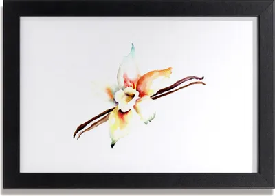 Produktbild von Bild 30x20 MDF-Rahmen Wandkunst Blumen-Kunst