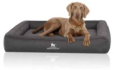 Produktbild von Knuffelwuff Orthopädisches Hundebett aus Velours mit Handwebcharakter Yukon S 70 x 50cm Anthrazit