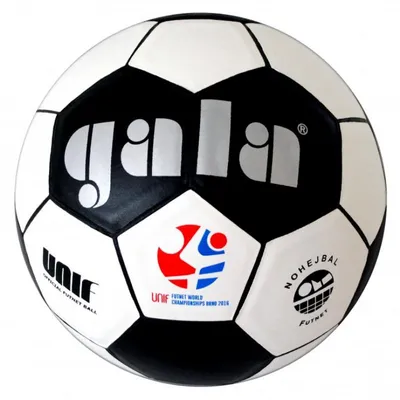 Image de Ballon de football Gala BN5042S
