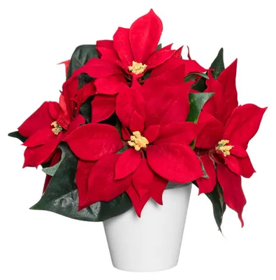 Imagen del producto de Adorno navideño artificial en forma de estrella, con 6 flores, de 23 x 30 x 20 cm