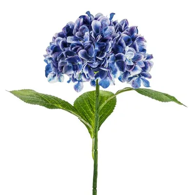 Immagine prodotto di Kunstblume - Hortensie Premium, 69 cm, blu navy