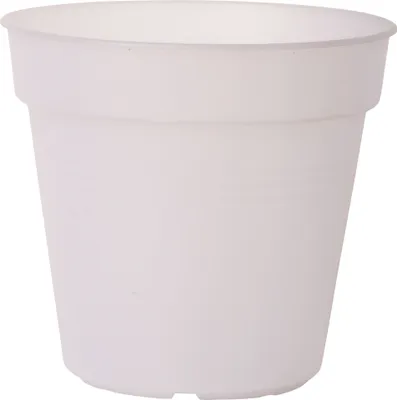 Zdjęcie produktu dla elho green basics orchid 17cm, Sadzarka w doniczce, Wolnostojący, Polipropylen (PP), Przezroczysty, Okrągły, Wewnątrz/Na wolnym powietrzu