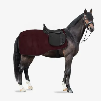 Productafbeelding van Paardendeken Fleece - Uitrijdeken Paard - Paard Warm Houden - Zacht Fleece Materiaal - 135 cm - Donkerrood