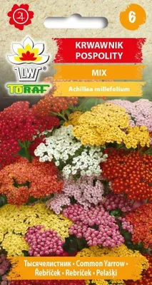 Obrázok produktu pre Zmes kvetinových semien Yarrow MIX - 545 Toraf