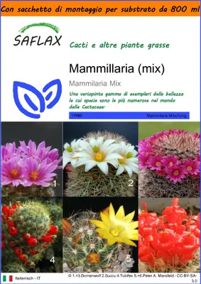 Immagine prodotto di SAFLAX Garden in the bag - Mammillaria (mix) - 40 semi - Mammilaria