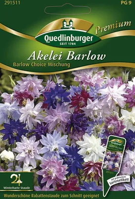 Produktbild von Quedlinburger Akelei Barlow Choice Mischung - Premium Blumensamen