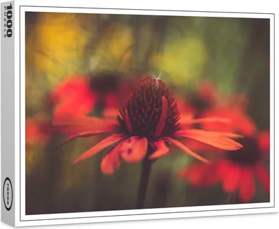 Image de puzzle raxxa Premium "Chapeau de soleil", 1000 pièces