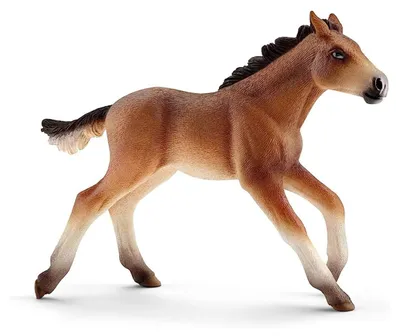Produktbild von Schleich Mustang Foal 3+ Yearbeschädigt