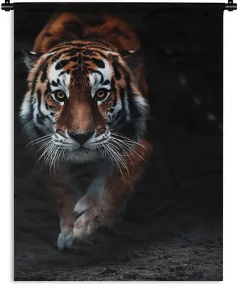 Produktbild von MuchoWow® Wandteppich Wandbehang Tiere - Tiger - Schwarz - Wild - Porträt 60x80 cm Tapisserie Dekoration Wandtuch - Decke - Wandtücher - Wohne