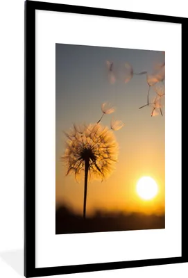 Produktbild von MuchoWow® Gerahmtes Poster Löwenzahn - Sonne - Sonnenuntergang 60x90 cm - Poster mit Schwarzem Bilderrahmen Wandposter Rahmen Foto Bilder - Dekoration - Wandposter Wohnzimmer - Hochwertig