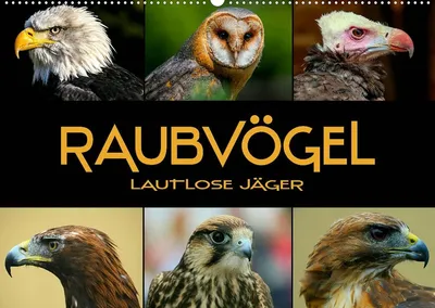 Produktbild von Wandkalender 2022 – Greifvögel und Eulen – Format A2