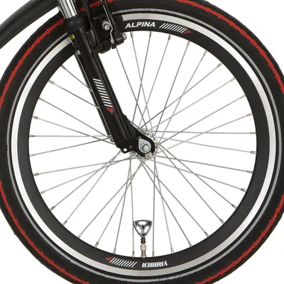 Immagine prodotto di Alpina Ruota anteriore 22 HLQC Yabber Nero Zinco SPK