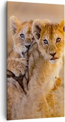 Produktbild von Bild auf Leinwand - Leinwandbild - Löwe Natur Tier - 55x100cm - Wand Bild - Wanddeko - Wandbilder - Leinwanddruck - Bilder - Kunstdruck - Wanddekoration - Leinwand bilder - Wandkunst - PA55x100-3480
