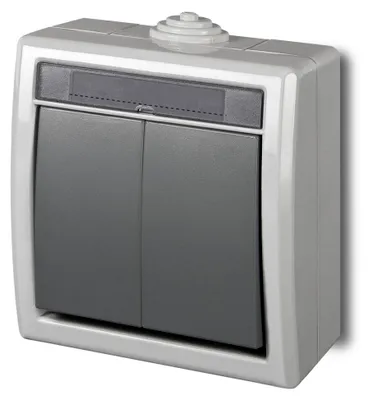 Image de Elektroplast Switch Aquant 2G Grey Ip55 1202-10