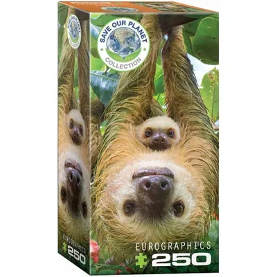 Obrázek produktu pro Puzzle 250 prvků. Lenochodi