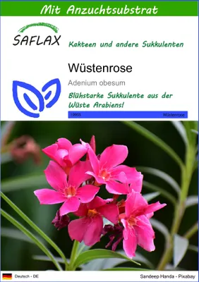 Produktbild von SAFLAX - Sukkulenten - Wüstenrose - 8 Samen - Mit keimfreiem Anzuchtsubstrat - Adenium obesum