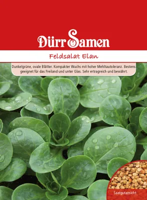 Produktbild von Feldsalat Elan | Feldsalatsamen von Dürr Samen