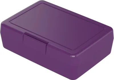 Obrázek produktu pro Box na oběd - dětský box na oběd z plastu bez BPA, ideální do školy i do práce, odolný box na oběd vyrobený v Německu - ostružina