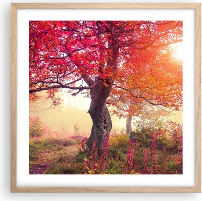 Produktbild von Gerahmtes Poster - Rahmen in heller Eiche - Baum Natur Wiese - 50x50 cm - Wand Bild - Wanddeko - Wandbilder - Kunstposter - Wandposter - Bilderrahmen - Bilder - Kunstdruck - Wandbild - P2NAC50x50-3658