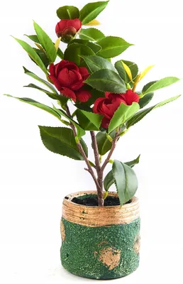 Produktbild von Kunstpflanze im Topf 29cm Deko-Baum Pflegeleicht Verschiedene Farben Wohnzimmer Büro