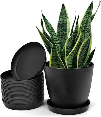 Produktbild von Famanu Pflanzenschalen Rund - Schützt vor Wasserflecken - Set von 20 Stück - 11,5 cm - Schwarz
