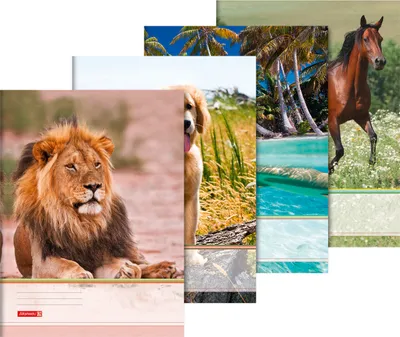 Produktbild von BRUNNEN Sammelmappe A3 Tiere 1047093